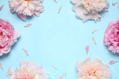 Photo of Beautiful fresh peonies on light blue background, flat lay