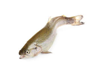 Photo of Raw cutthroat trout fish isolated on white