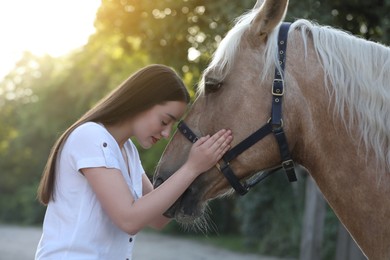 Photo of Beautiful woman with adorable horse outdoors. Lovely domesticated pet