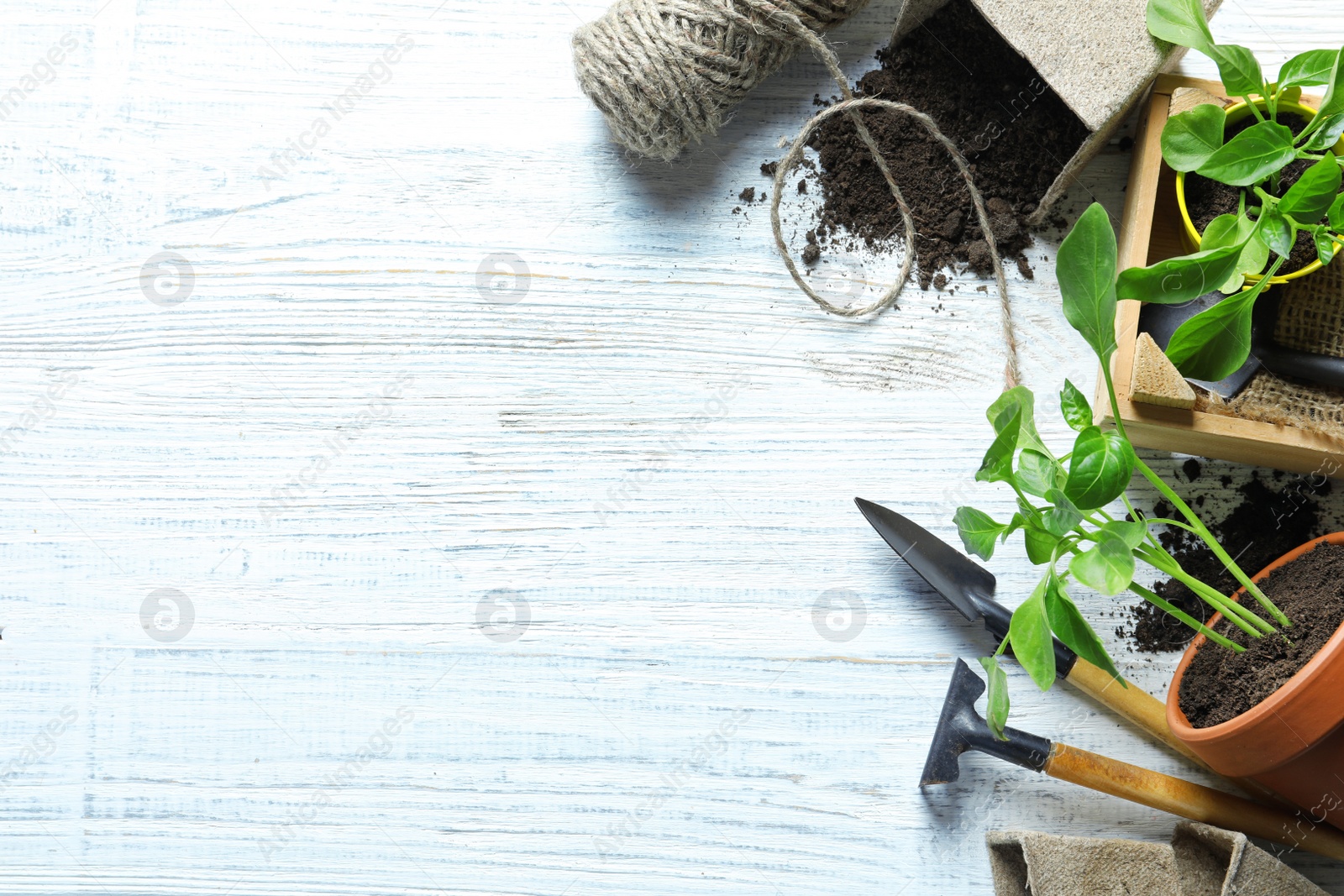 Photo of Flat lay composition with gardening tools and plants on wooden background