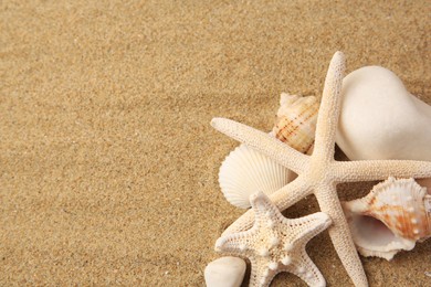 Photo of Beautiful sea stars, shells and stones on sand, above view. Space for text