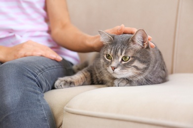 Young woman and cute gray tabby cat on couch indoors, closeup. Lovely pet