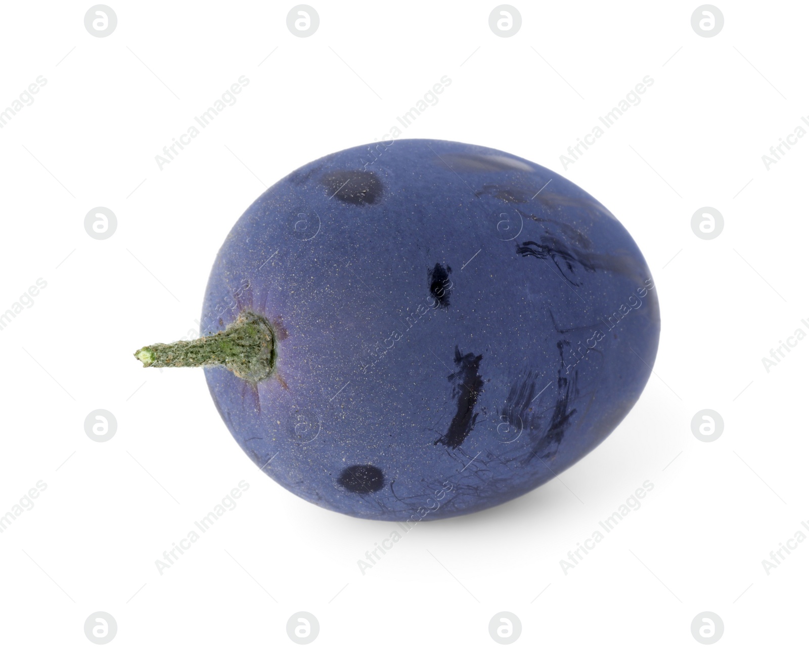 Photo of One ripe dark blue grape isolated on white