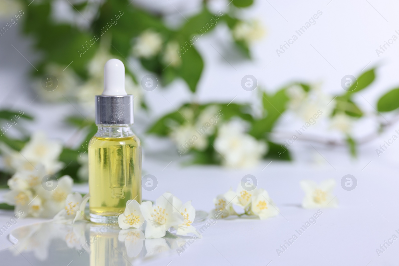 Photo of Essential oil in bottle and beautiful jasmine flowers on white background