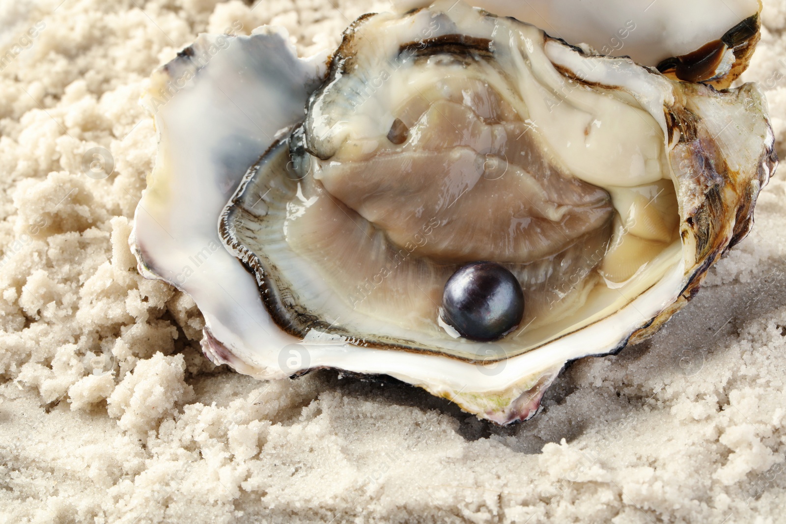 Photo of Open oyster with black pearl on sand, closeup