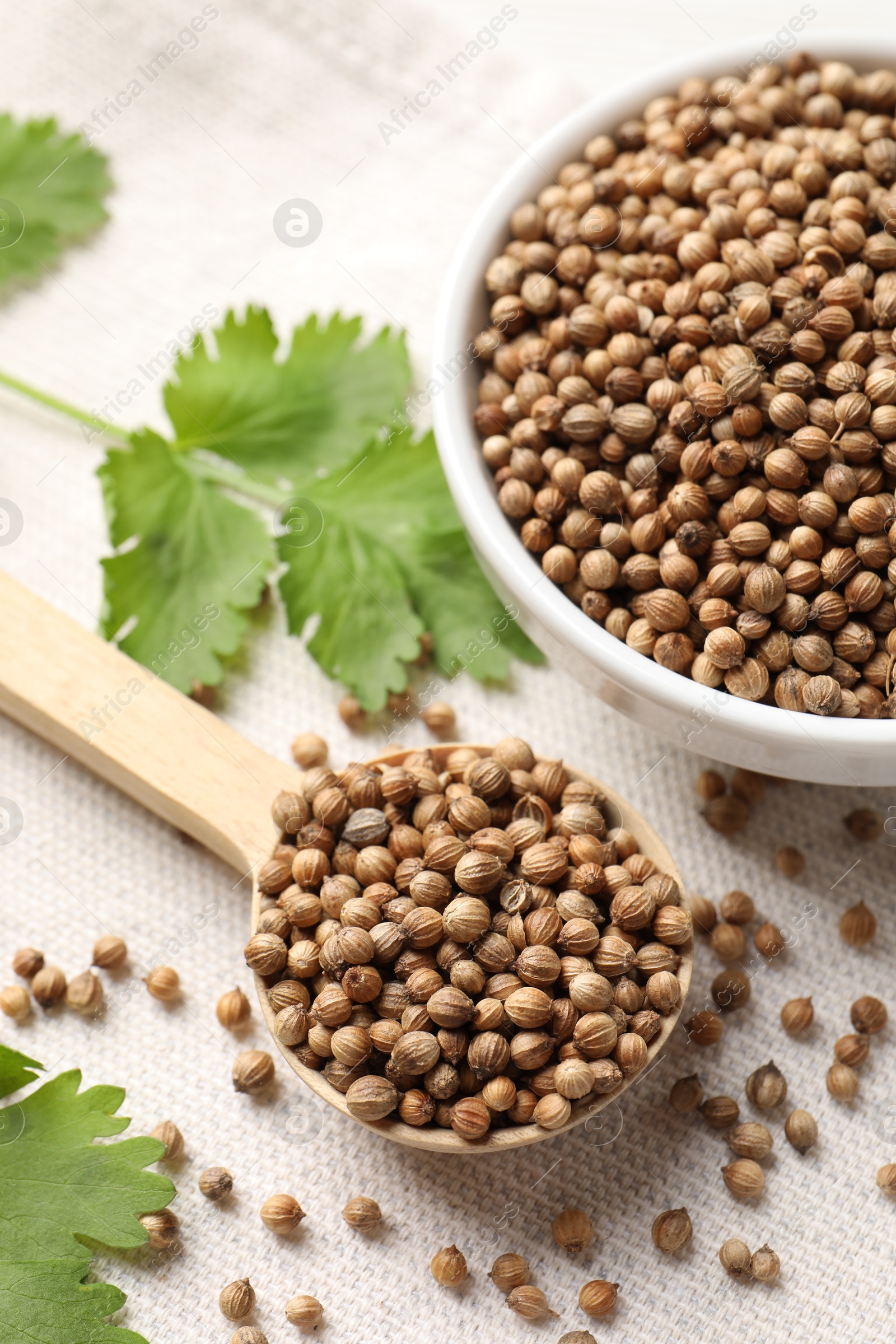 Photo of Dried coriander seeds in bowl, spoon and green leaves on light cloth, above view