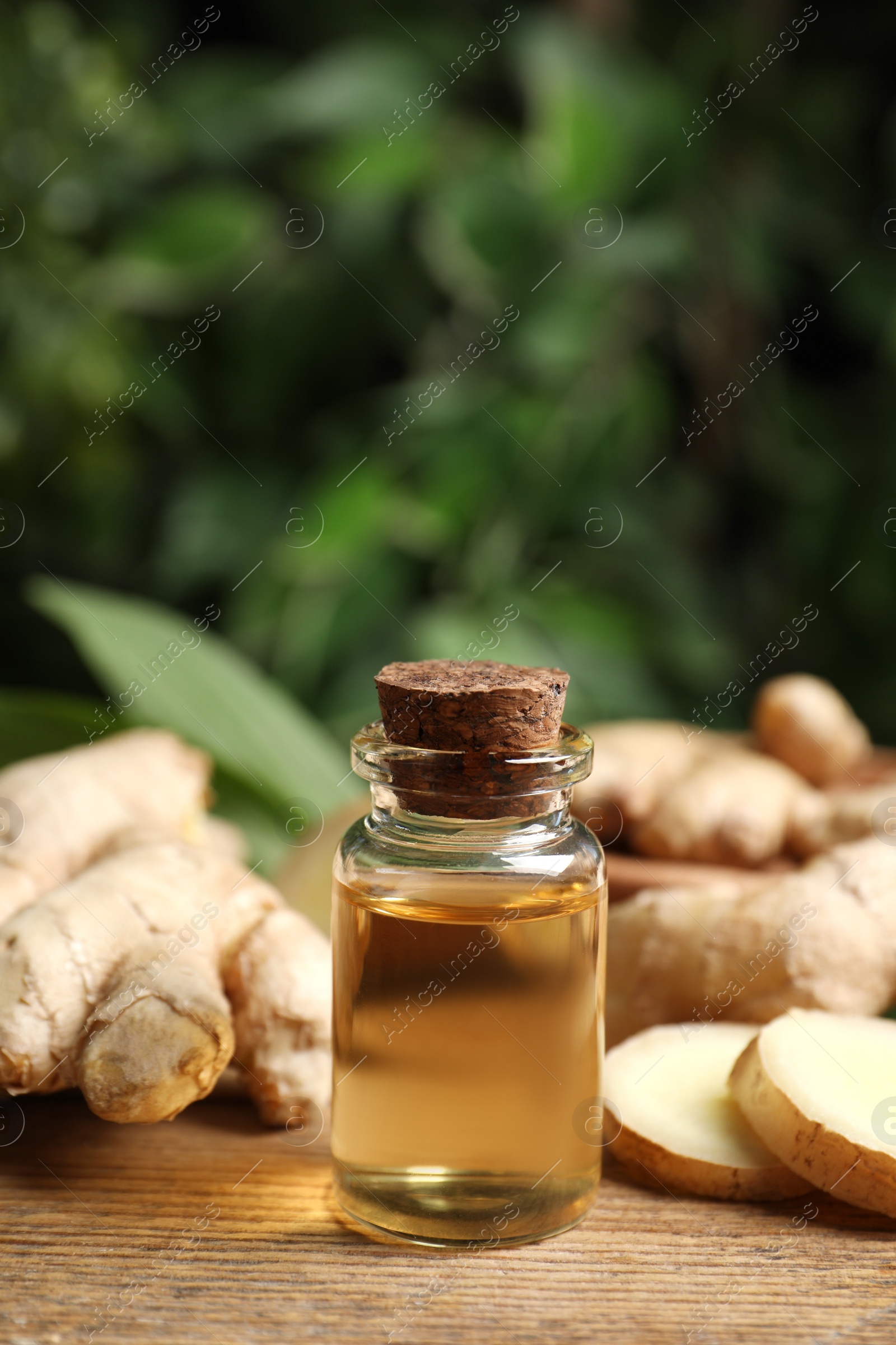 Photo of Ginger essential oil in bottle on wooden table