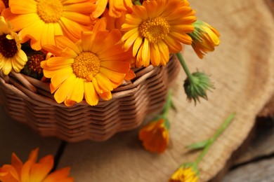 Beautiful fresh calendula flowers on table, above view. Space for text