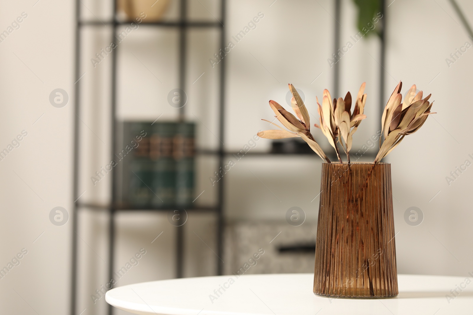 Photo of Vase with beautiful dried leucadendron plants on white table in room, space for text