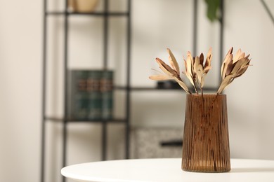 Vase with beautiful dried leucadendron plants on white table in room, space for text