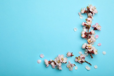 Photo of Beautiful blossoming branches with fresh spring flowers on color background, top view. Space for text