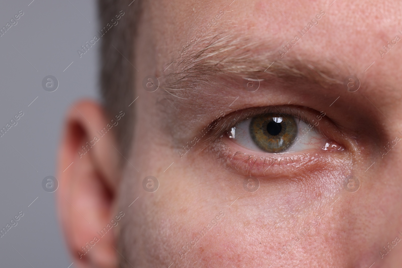 Photo of Closeup view of man with beautiful eyes on grey background