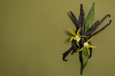 Photo of Vanilla pods, beautiful flowers and green leaves on olive color background, top view. Space for text