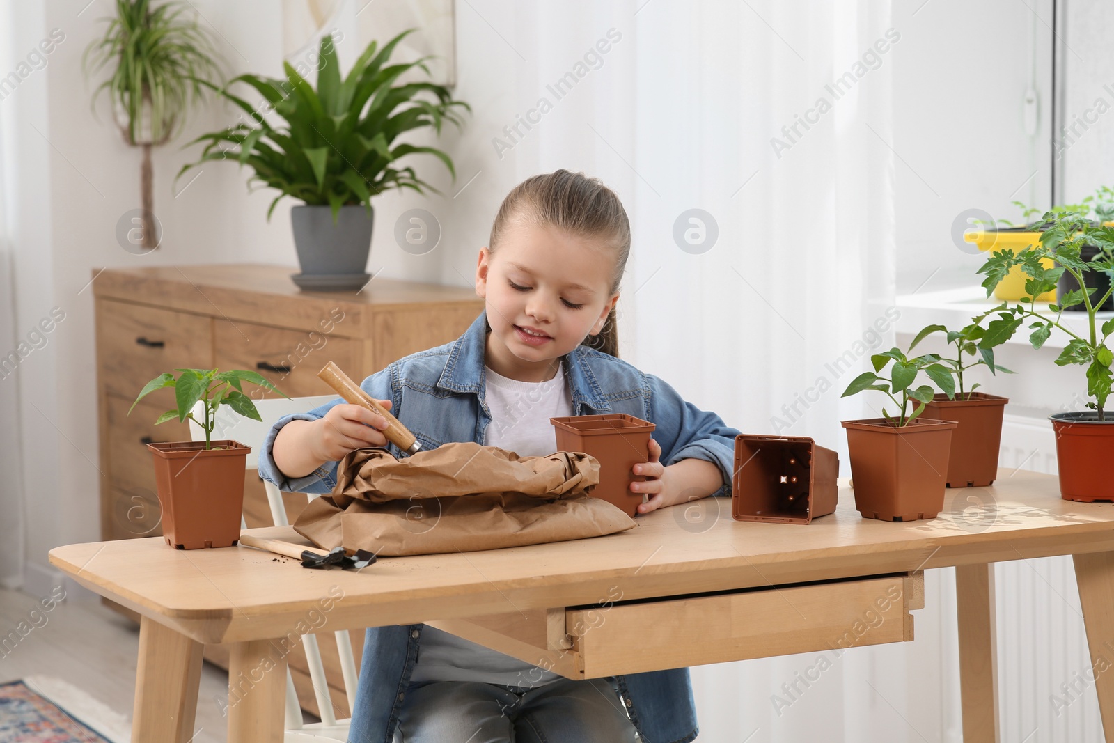 Photo of Cute little girl planting seedling into pot at wooden table in room