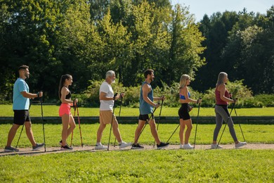 Group of people practicing Nordic walking with poles in park on sunny day