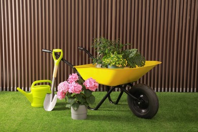 Photo of Wheelbarrow, gardening tools and plants on green grass near wood slat wall