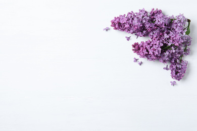 Photo of Beautiful lilac blossom on white wooden background, flat lay. Space for text