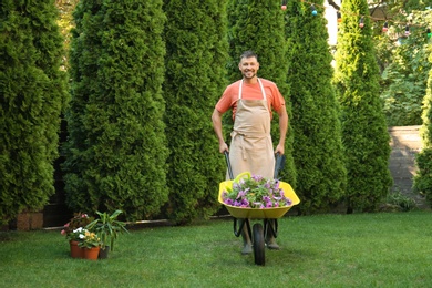 Photo of Happy man with wheelbarrow working in garden