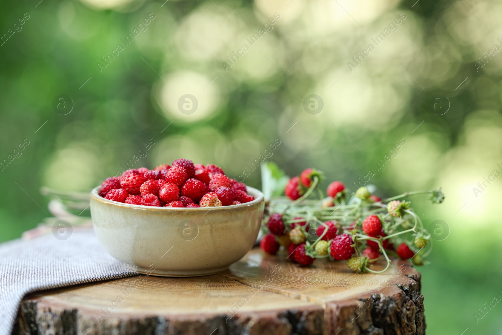 Photo of Bowl and tasty wild strawberries on wooden stump against blurred green background. Space for text