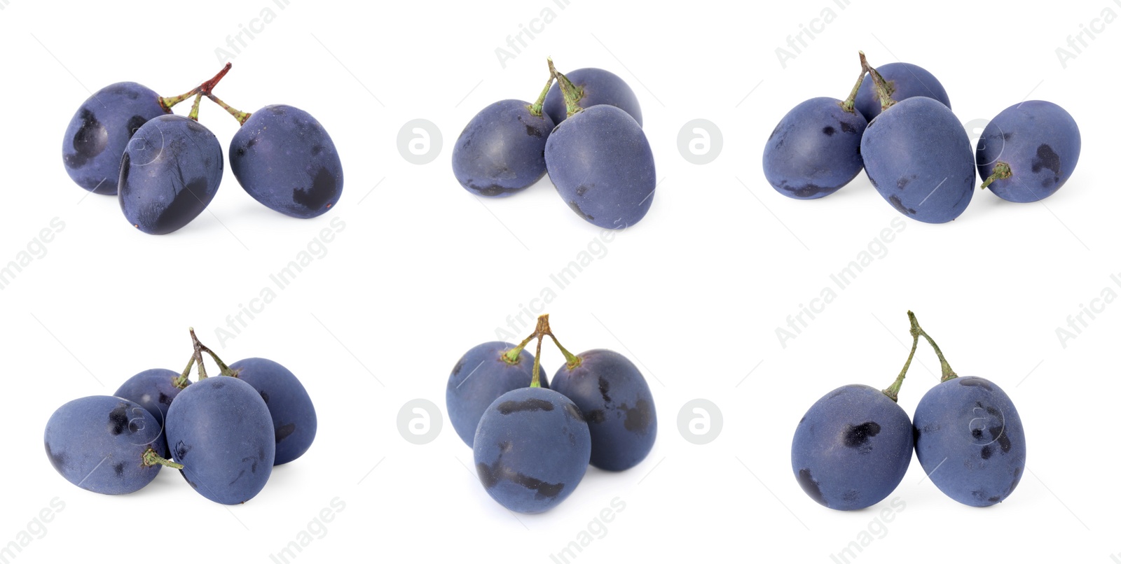 Image of Delicious fresh dark blue grapes isolated on white, set