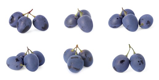 Image of Delicious fresh dark blue grapes isolated on white, set