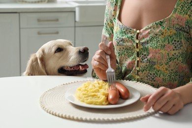 Cute dog begging for food while owner eating at table, closeup