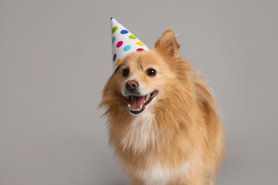Photo of Cute dog with party hat on light grey background. Birthday celebration