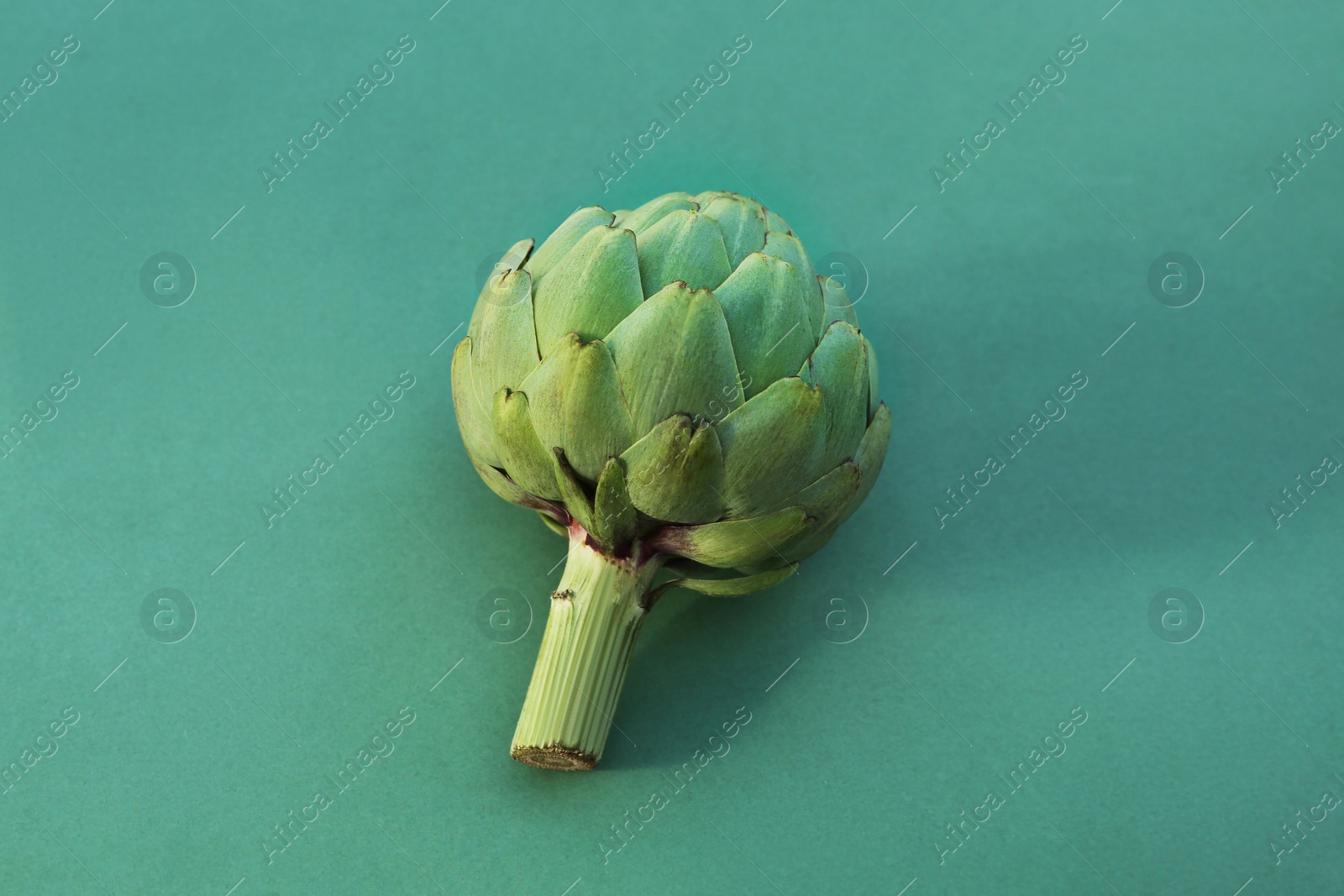 Photo of Whole fresh raw artichoke on green background. Space for text