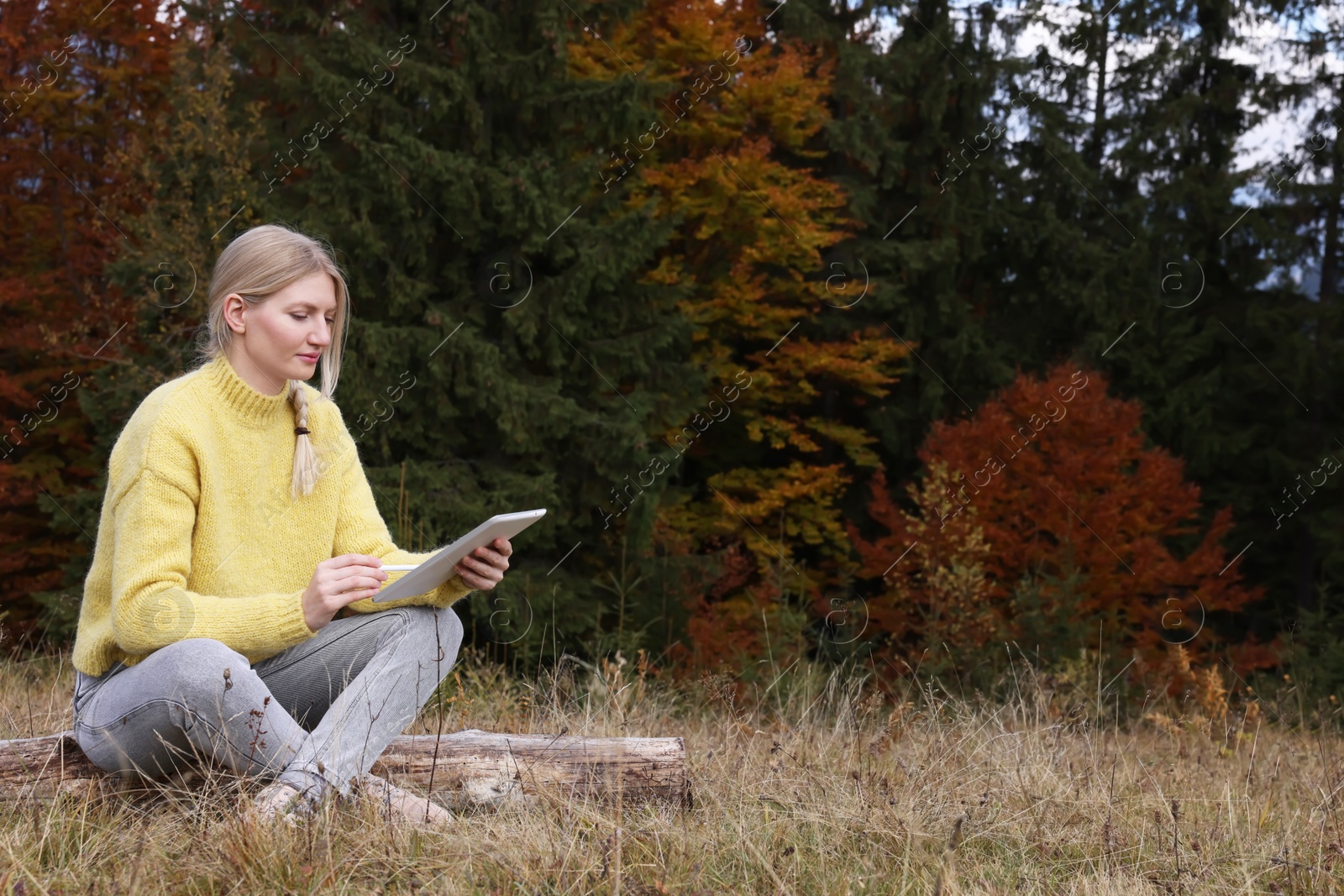 Photo of Young woman drawing with graphic tablet near forest in autumn