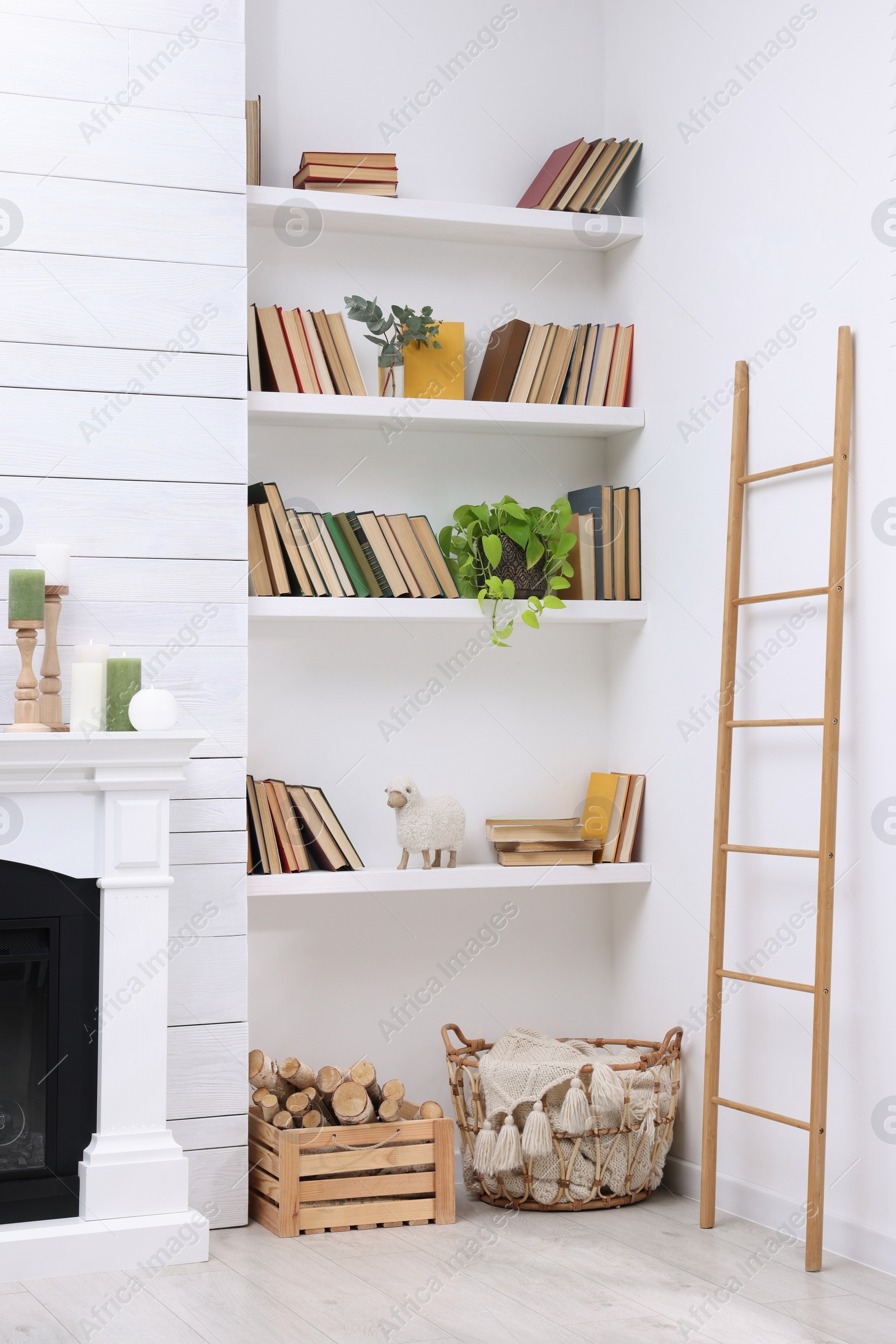 Photo of Collection of books and decor elements on shelves indoors. Interior design