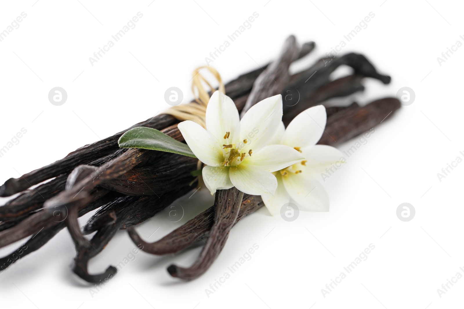 Photo of Vanilla pods, green leaf and flowers isolated on white