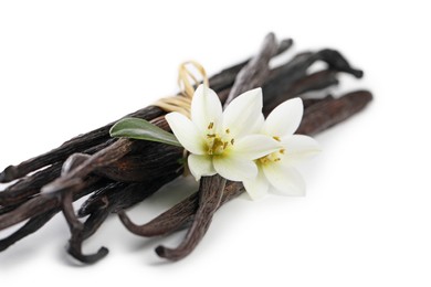 Photo of Vanilla pods, green leaf and flowers isolated on white