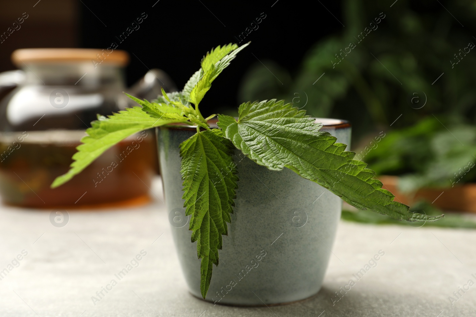 Photo of Cup of aromatic nettle tea with green leaves on light grey table, closeup