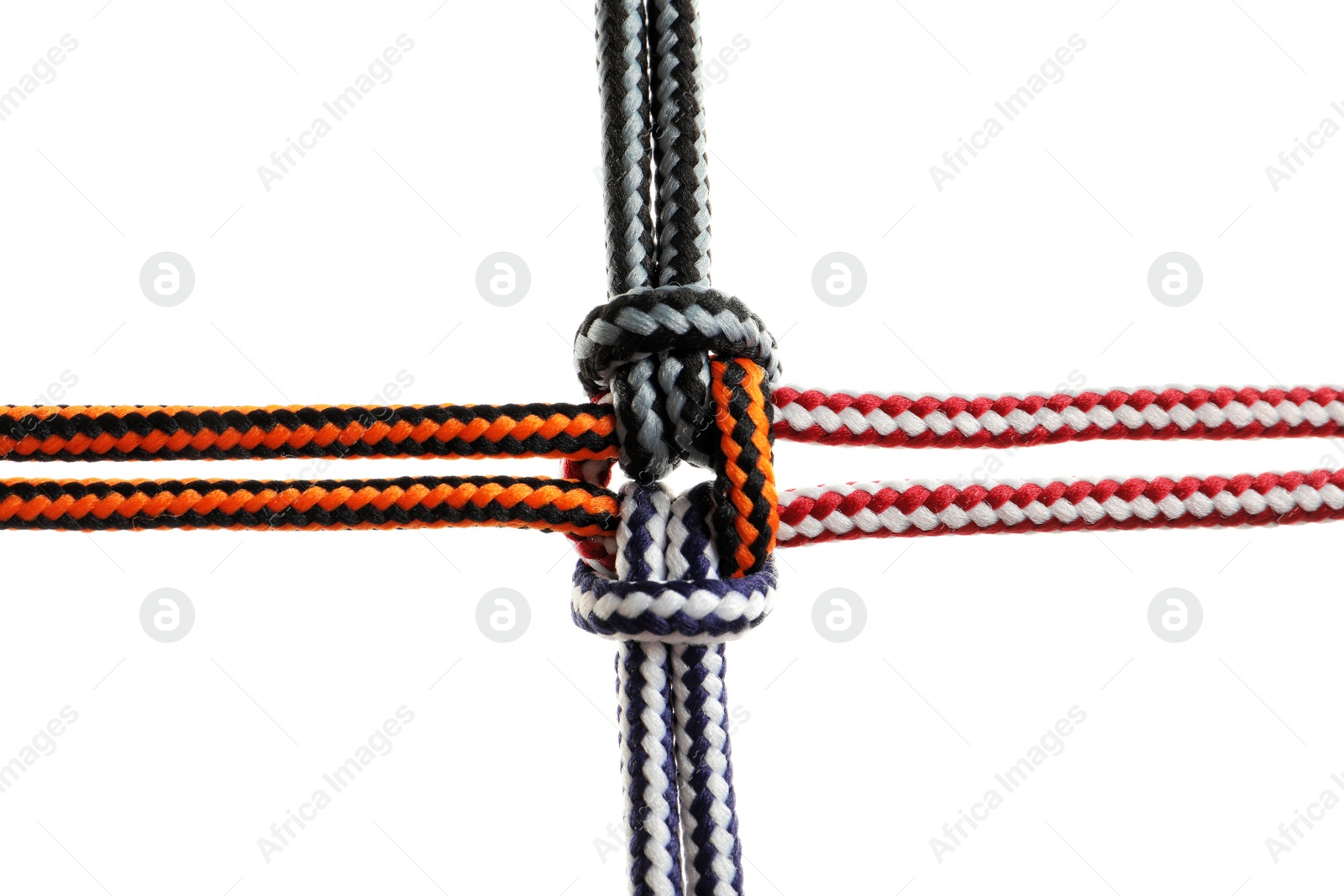 Photo of Colorful ropes tied together on white background. Unity concept