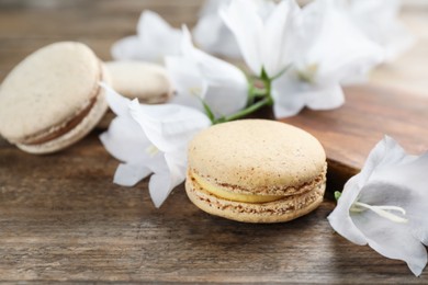 Photo of Delicious macarons and white bellflowers on wooden table