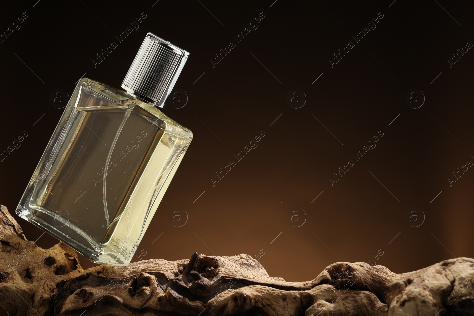 Photo of Luxury men`s perfume in bottle against brown background, space for text