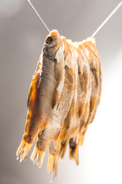 Photo of Dried fish hanging on rope against blurred background