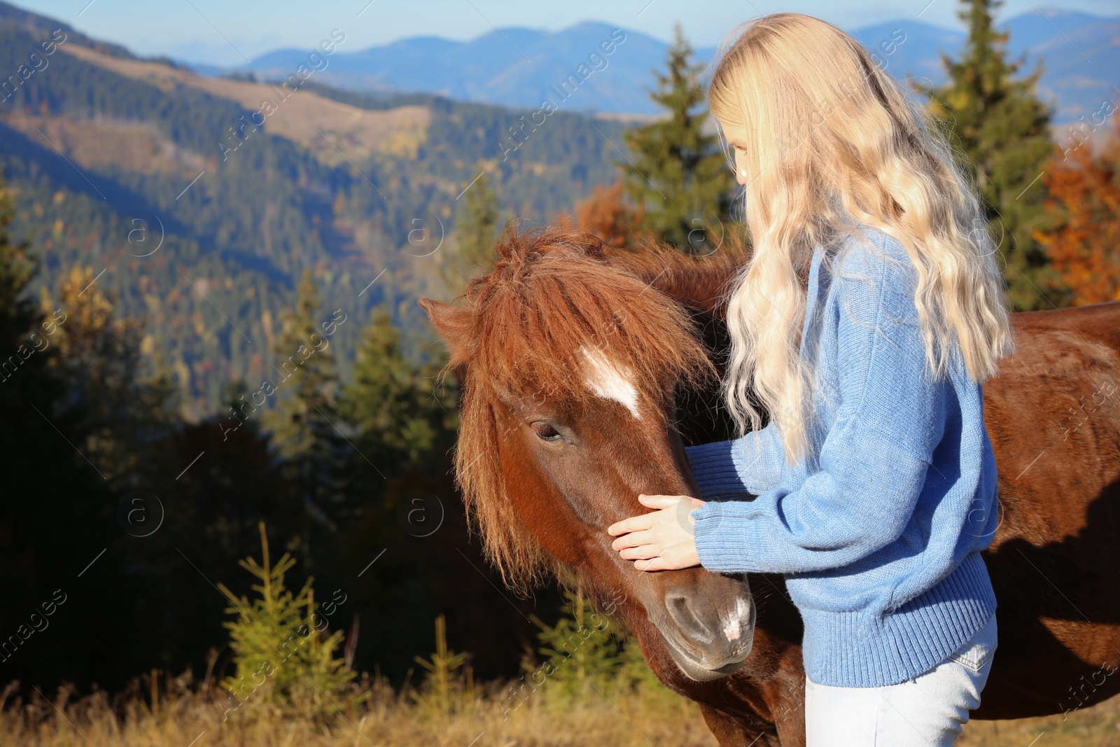 Photo of Young woman petting beautiful horse in mountains on sunny day