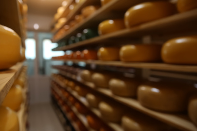 Photo of Blurred view of factory warehouse with fresh cheese heads on racks