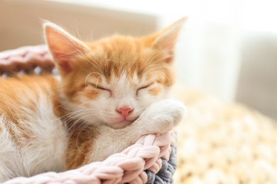 Photo of Cute little red kitten sleeping in knitted basket at home