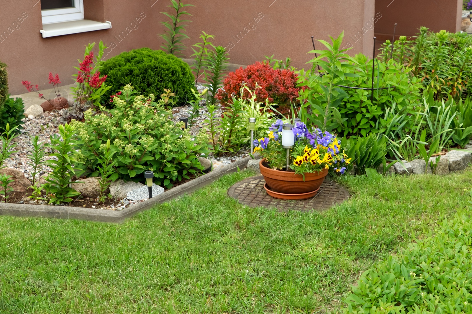 Photo of Beautiful flowerbeds with different plants outdoors. Gardening and landscaping