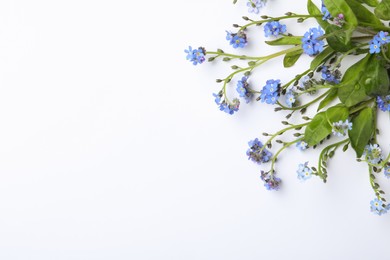 Photo of Beautiful blue forget-me-not flowers on white background, top view