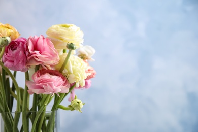 Photo of Beautiful ranunculus flowers in glass vase against light blue background. Space for text