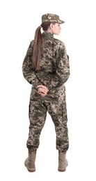 Female soldier on white background. Military service