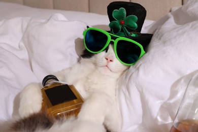 Photo of Cute cat wearing leprechaun hat and sunglasses with bottle of whiskey on bed. After party hangover