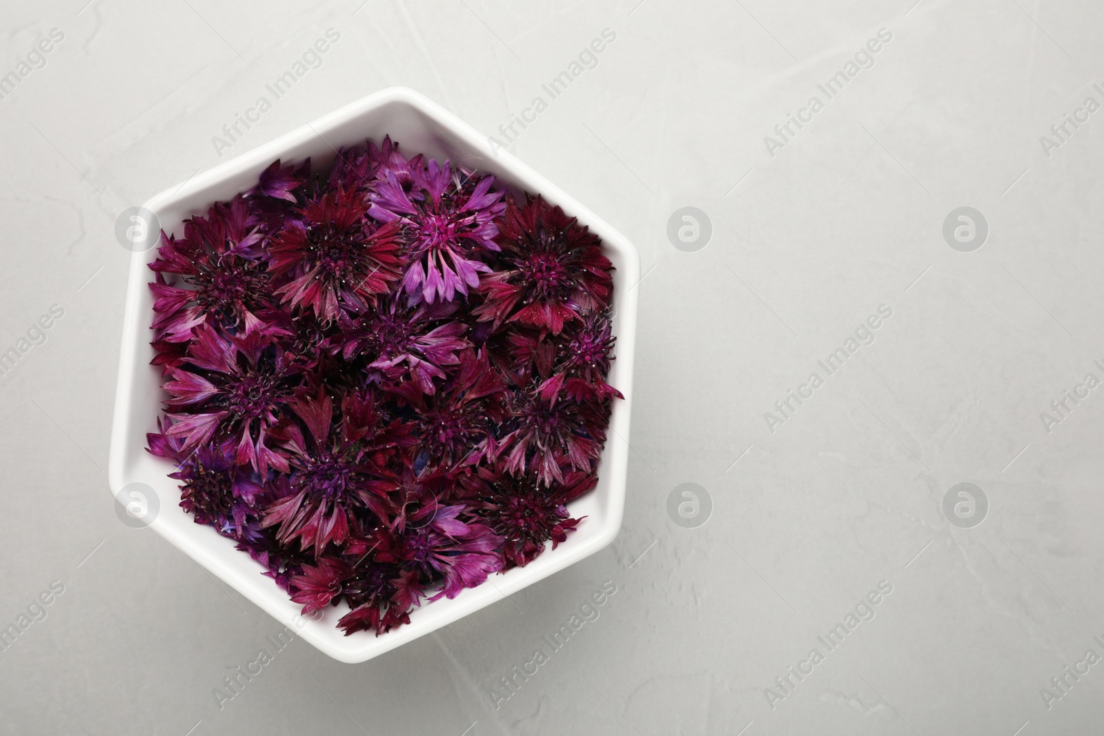 Photo of Beautiful purple cornflowers in bowl on light grey table, top view. Space for text