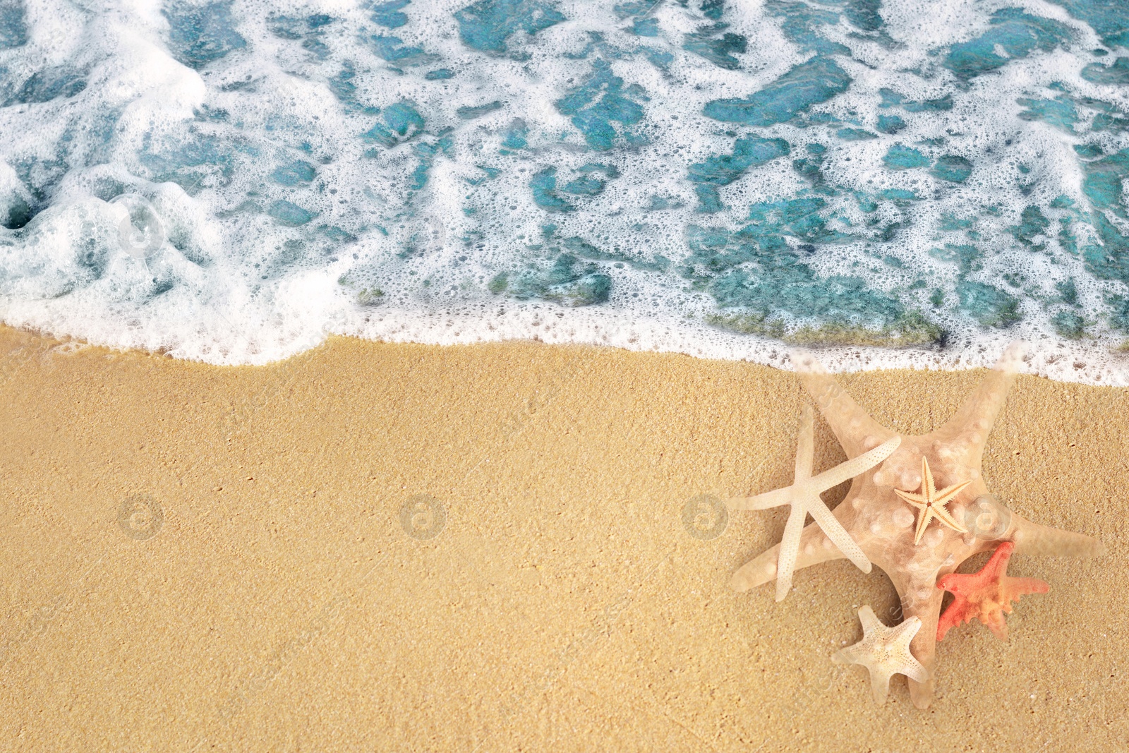 Image of Starfishes on sandy beach near sea, top view. Space for text