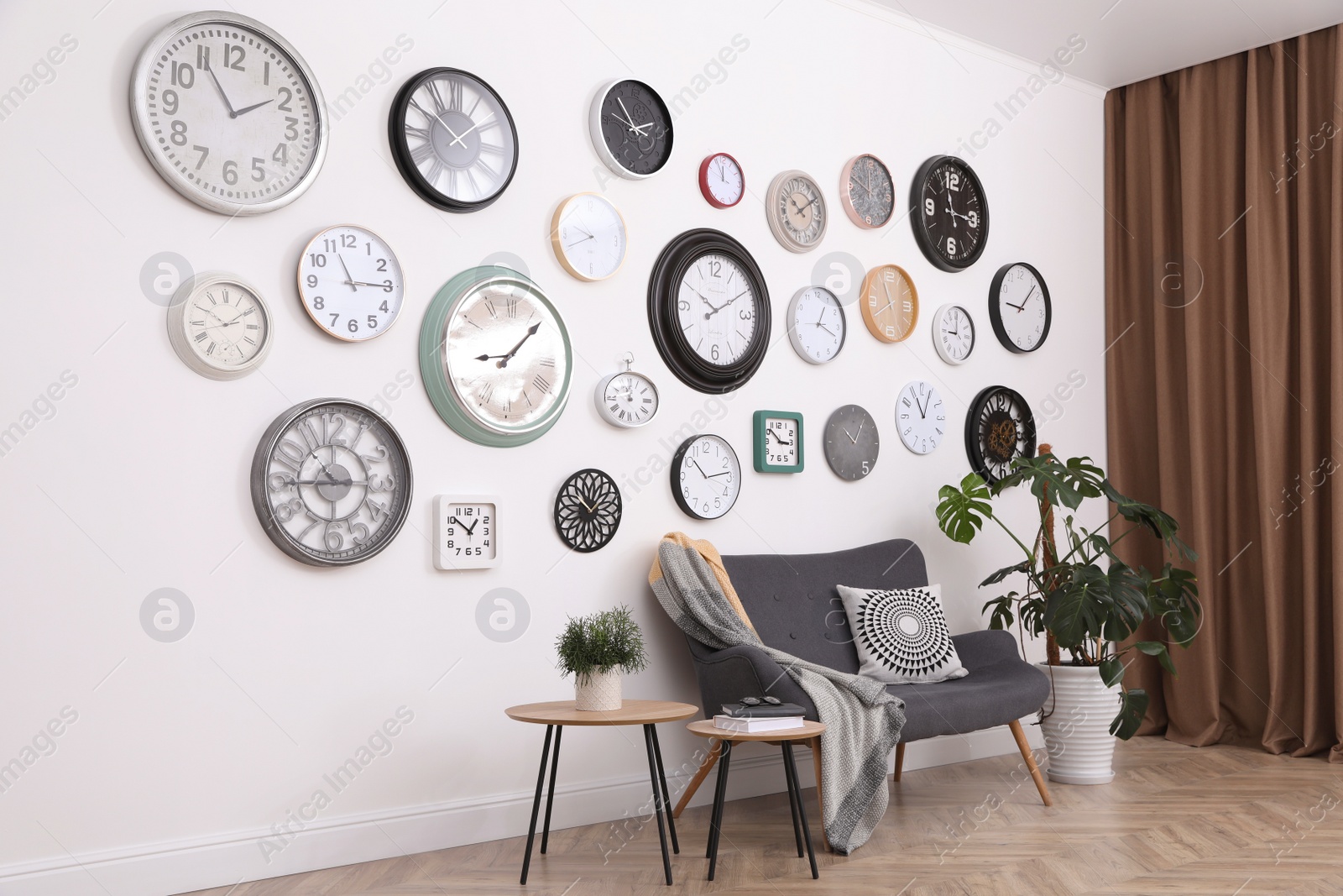 Photo of Stylish room interior with comfortable furniture, beautiful houseplant and collection of different clocks on white wall