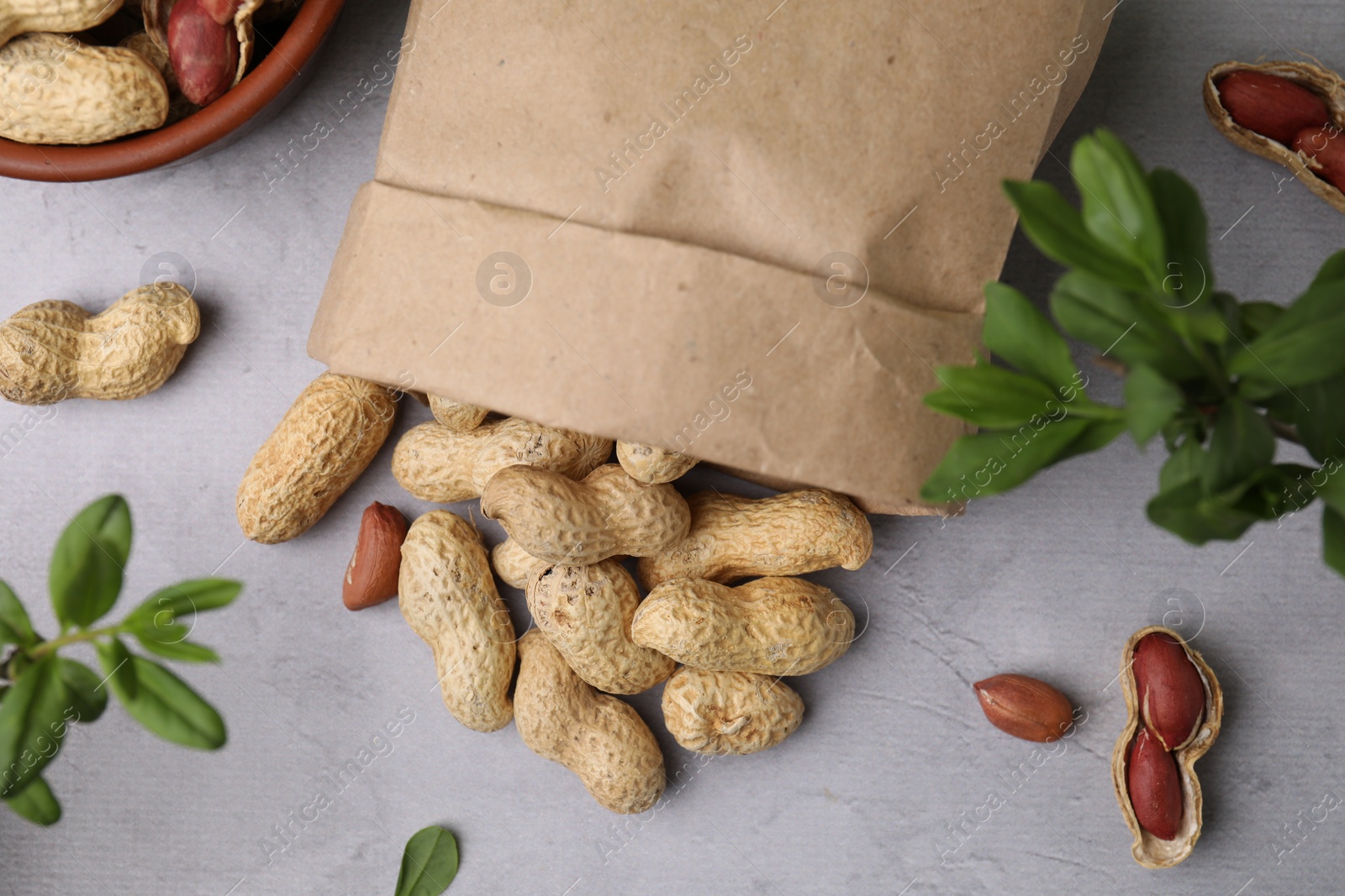 Photo of Paper bag with fresh unpeeled peanuts and leaves on grey table, flat lay