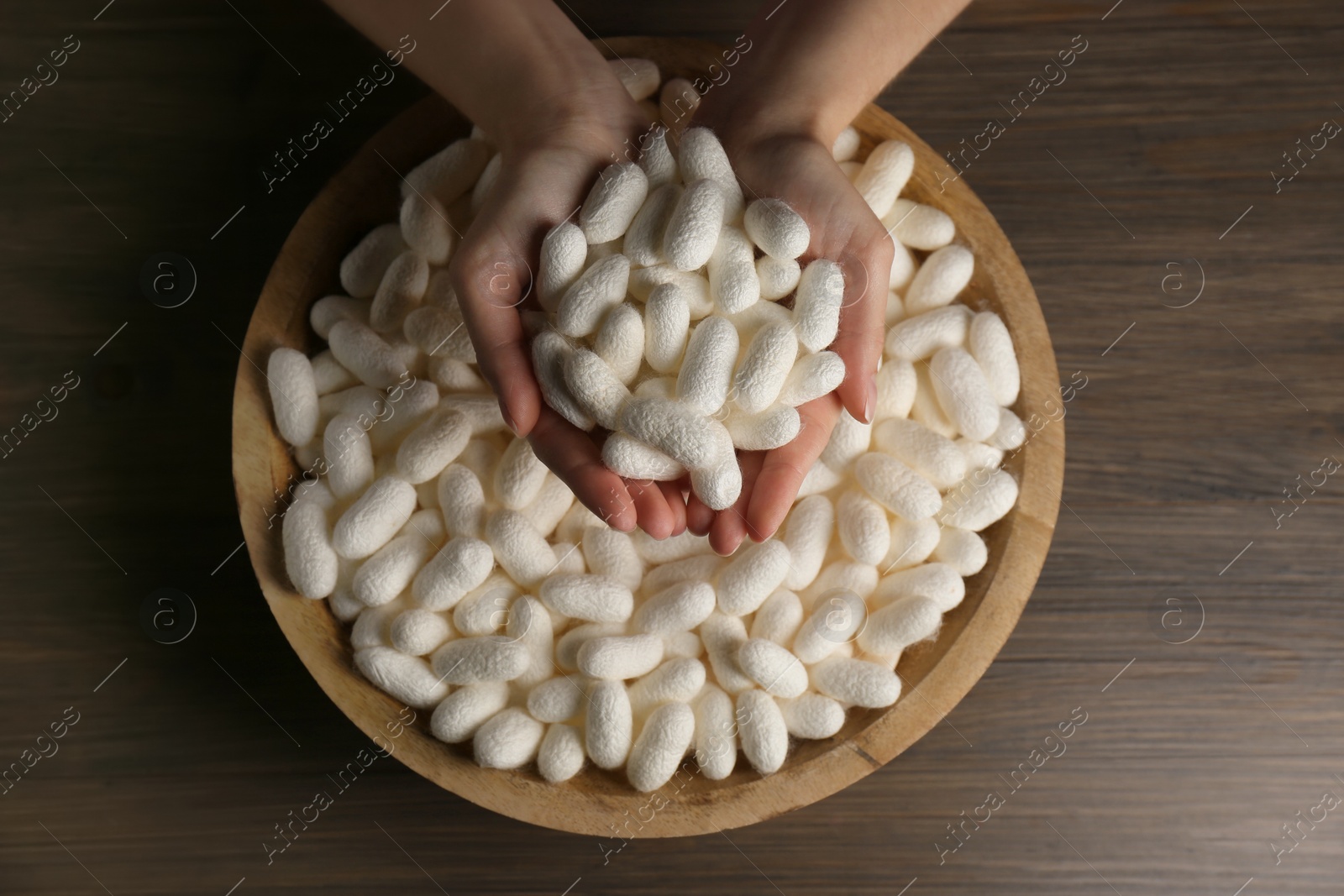 Photo of Woman holding white silk cocoons over bowl at wooden table, top view